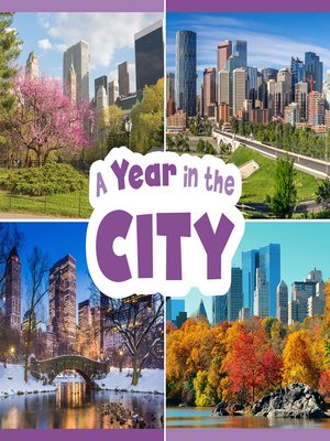 cover image of A Year in the City